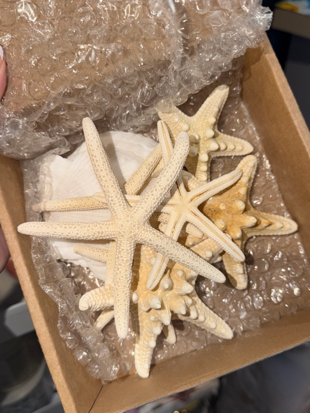 Natural Beige Starfish Decorative Set - Home Other